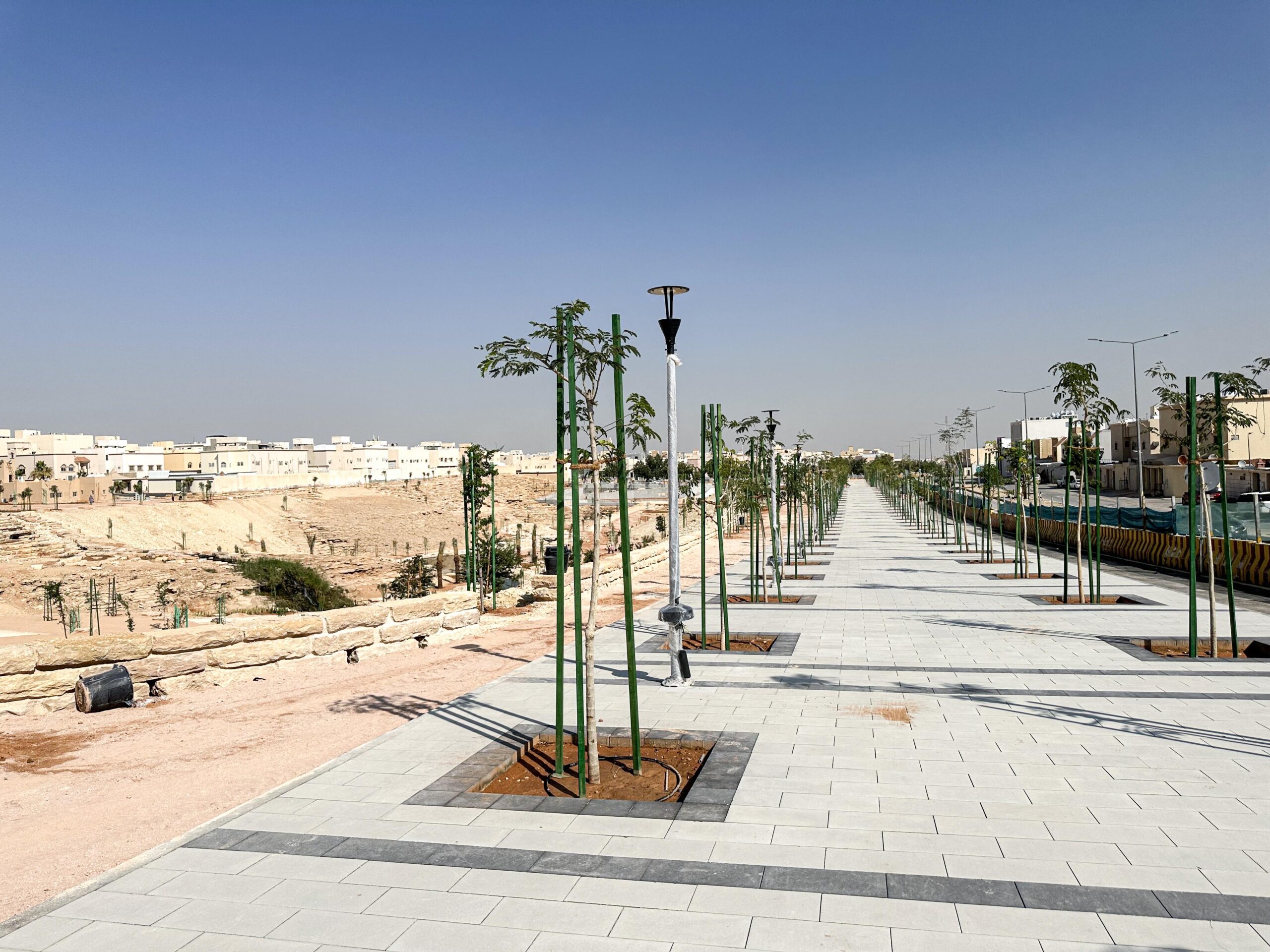 التشجير من أعمال الحمري للمقاولات في الرياض