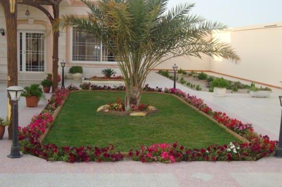 التشجير - صورة مشروع 3 في الرياض