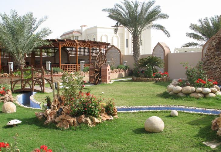 زراعة النخيل - صورة مشروع 3 في الرياض